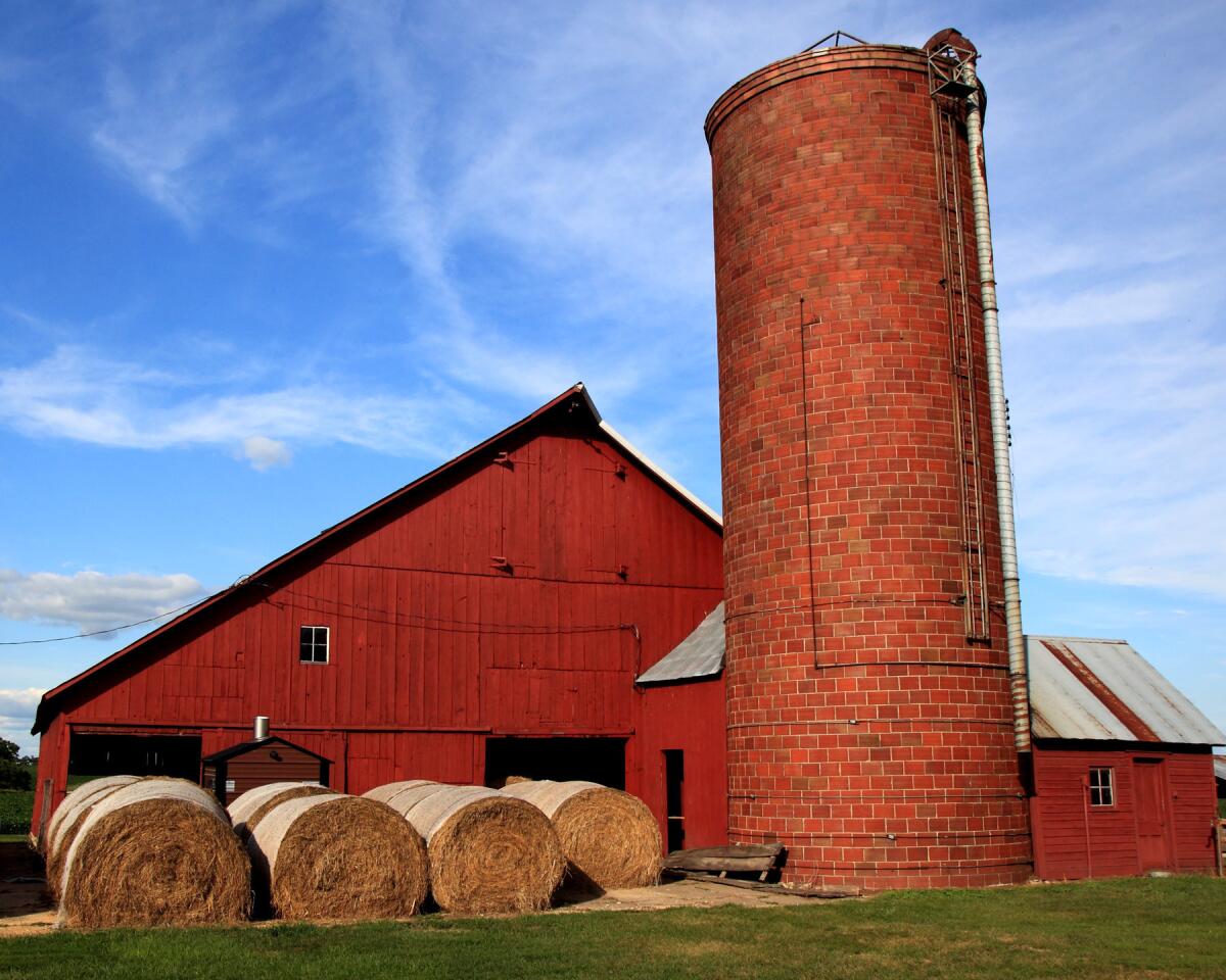 The DeFries Barn on the Doris and Jack Dyas Farm, 17929 232nd Avenue, Maquoketa (Jackson County) - Go north out of Andrew on Highway 62, then left on Y61- 250th Avenue (two miles) and left again on 180th St. Go 1/2 mile to first farm on left at 232nd Av. The 47 x 84-foot barn was built in 1885 by A.B. DeFries whose family settled in the area in the 1850s. It has post and beam pegged construction.