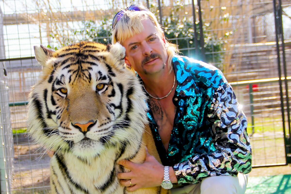 A man with a mullet and open shirt poses embracing a tiger.