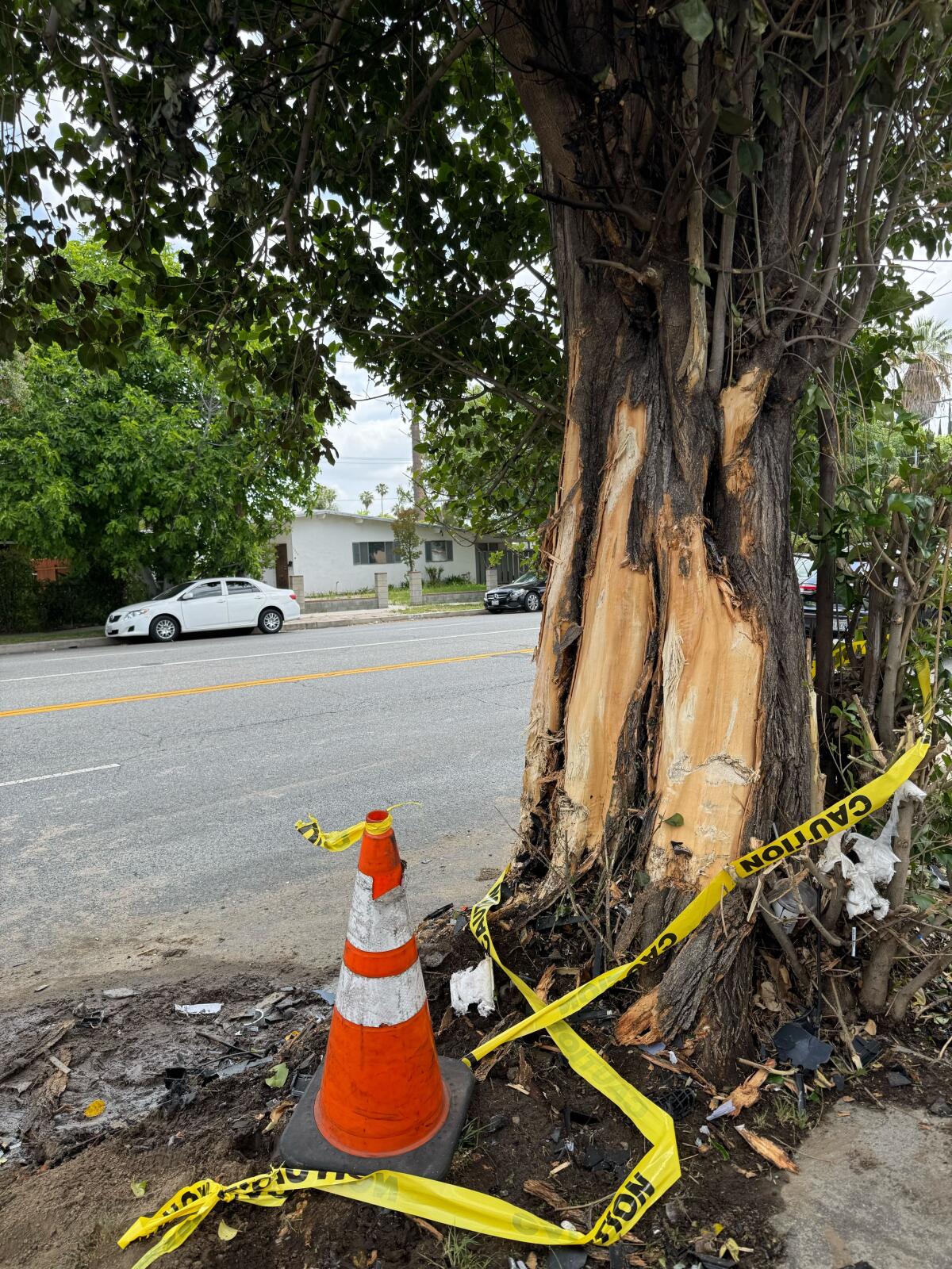 A tree and caution tape remain at the scene of a Cybertruck crash involving Alijah Arenas.