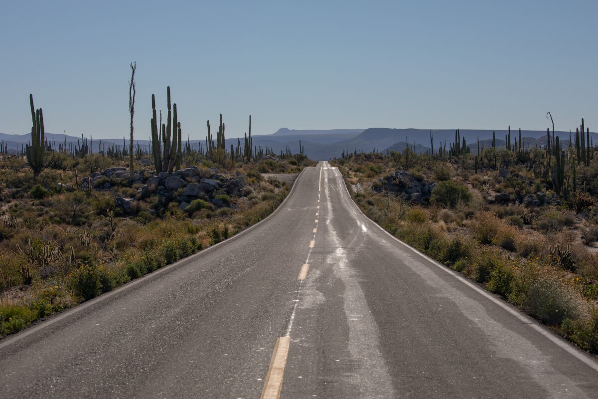 A narrow, two-lane Mexican highway slices through a desert filled with cactus.