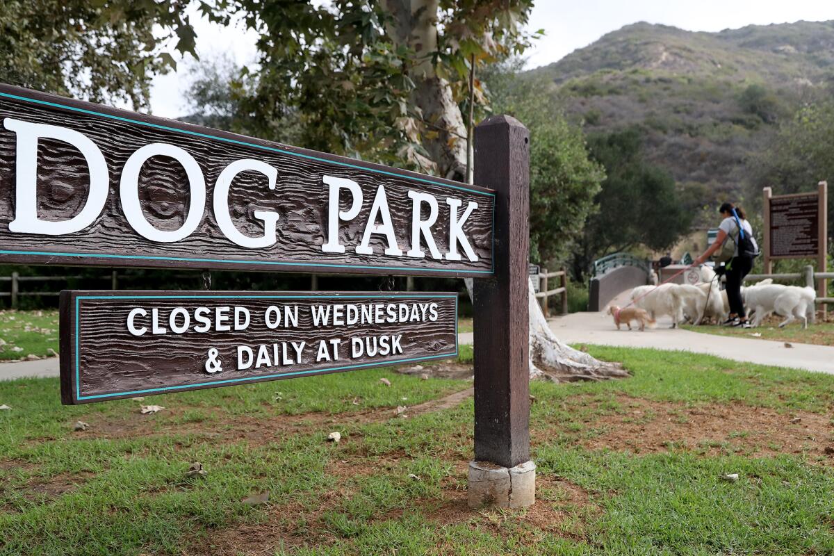 The Laguna Beach Dog Park will have its northern end utilized for a temporary marine mammal care facility.