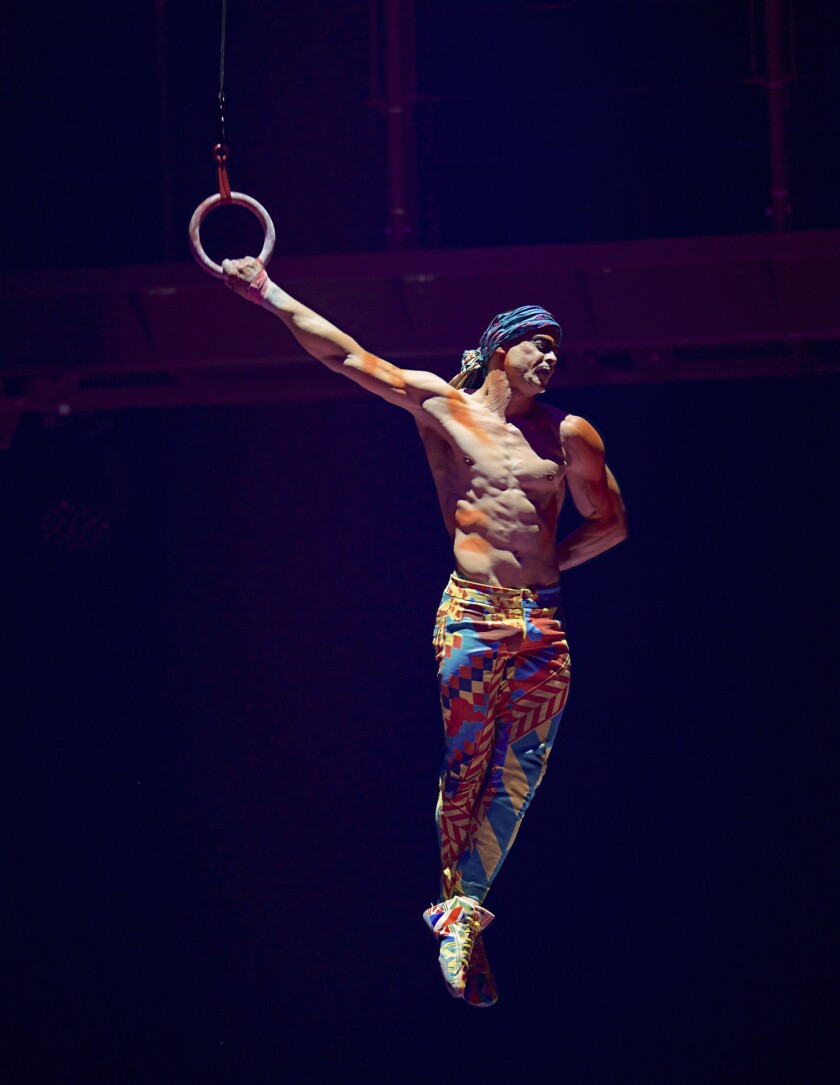 Tampa acrobat was attempting new Cirque du Soleil act. A ...