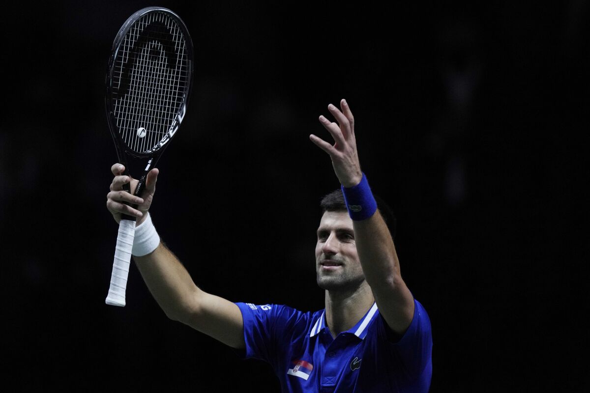 Serbia's Novak Djokovic after defeating Croatia's Marin Cilic during their Davis Cup tennis semi-final match 