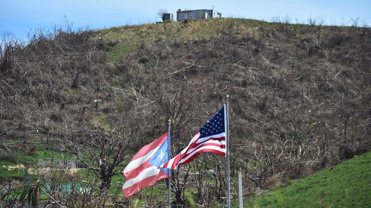 U.S. and Puerto Rican flags wave next to a highway in eastern Puerto Rico on Friday in the aftermath of Hurricane Maria.