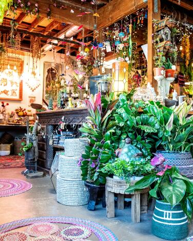 Plants, baskets, planters and home decor inside a store. 