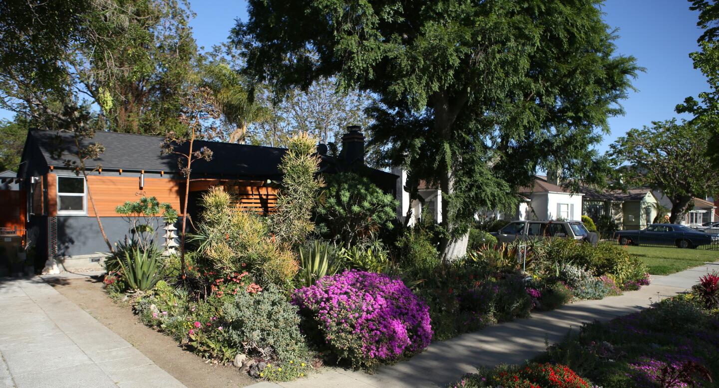 This Burbank drought garden is anything but dull