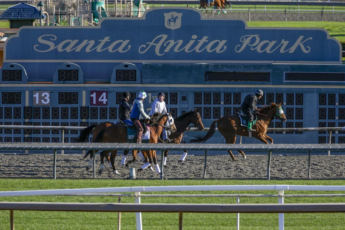 Tom Seaver the horse is a winner in racing debut at Santa Anita, Sports