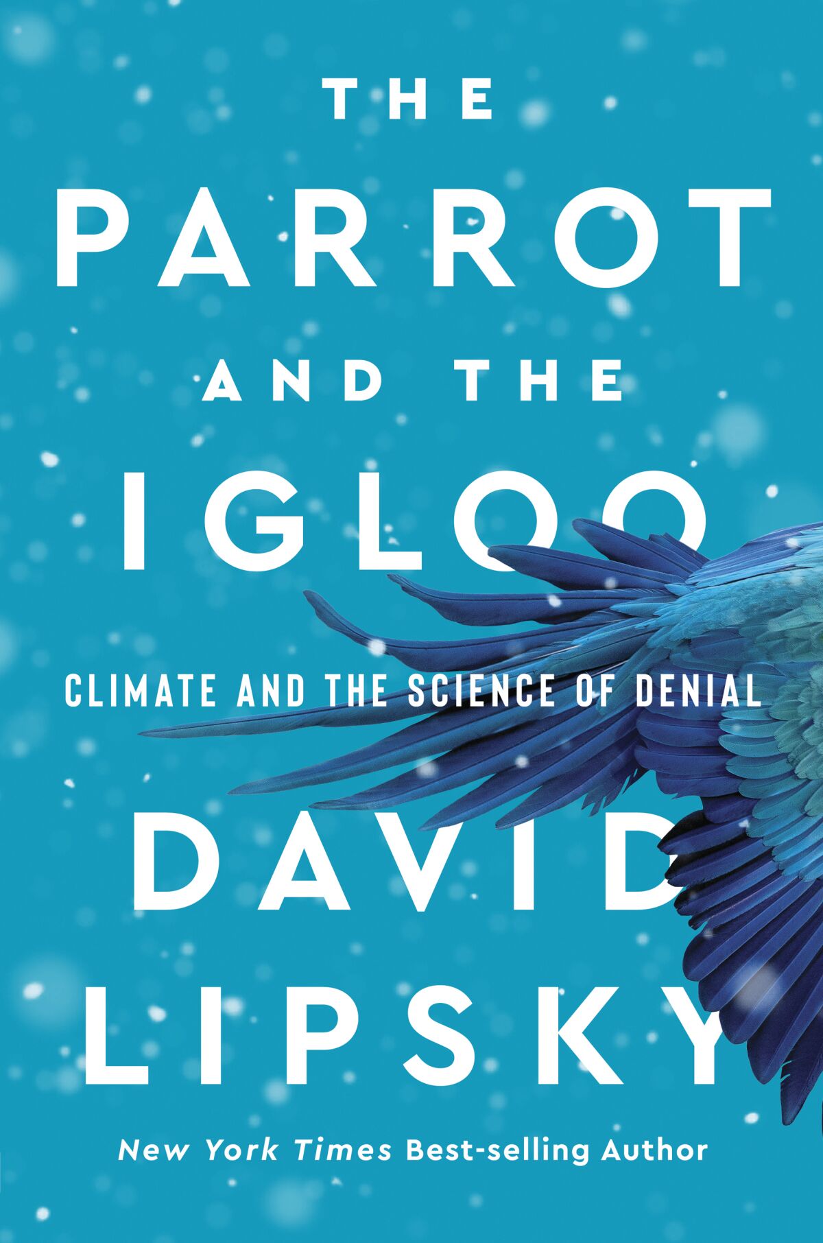 "The parrot and the igloo" by David Lipsky
