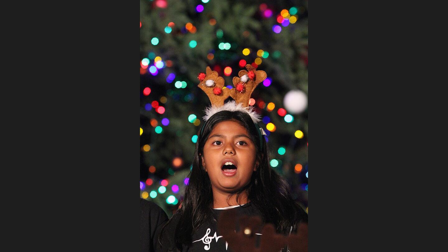 Photo Gallery: City of Glendale Tree Lighting