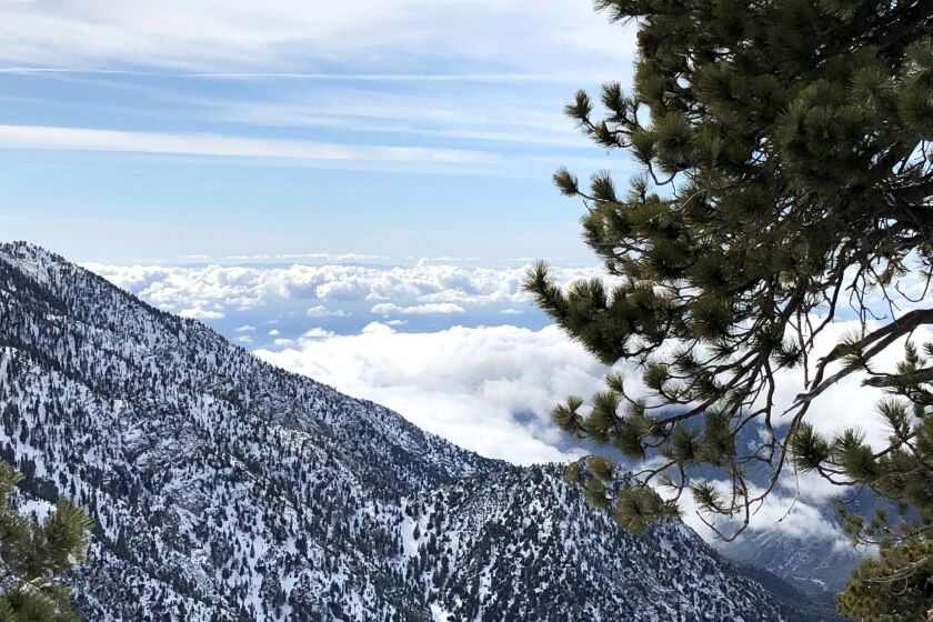 Don’t let the views distract you at Mt. Baldy, a winter wonderland near Los Angeles. But how can they not?