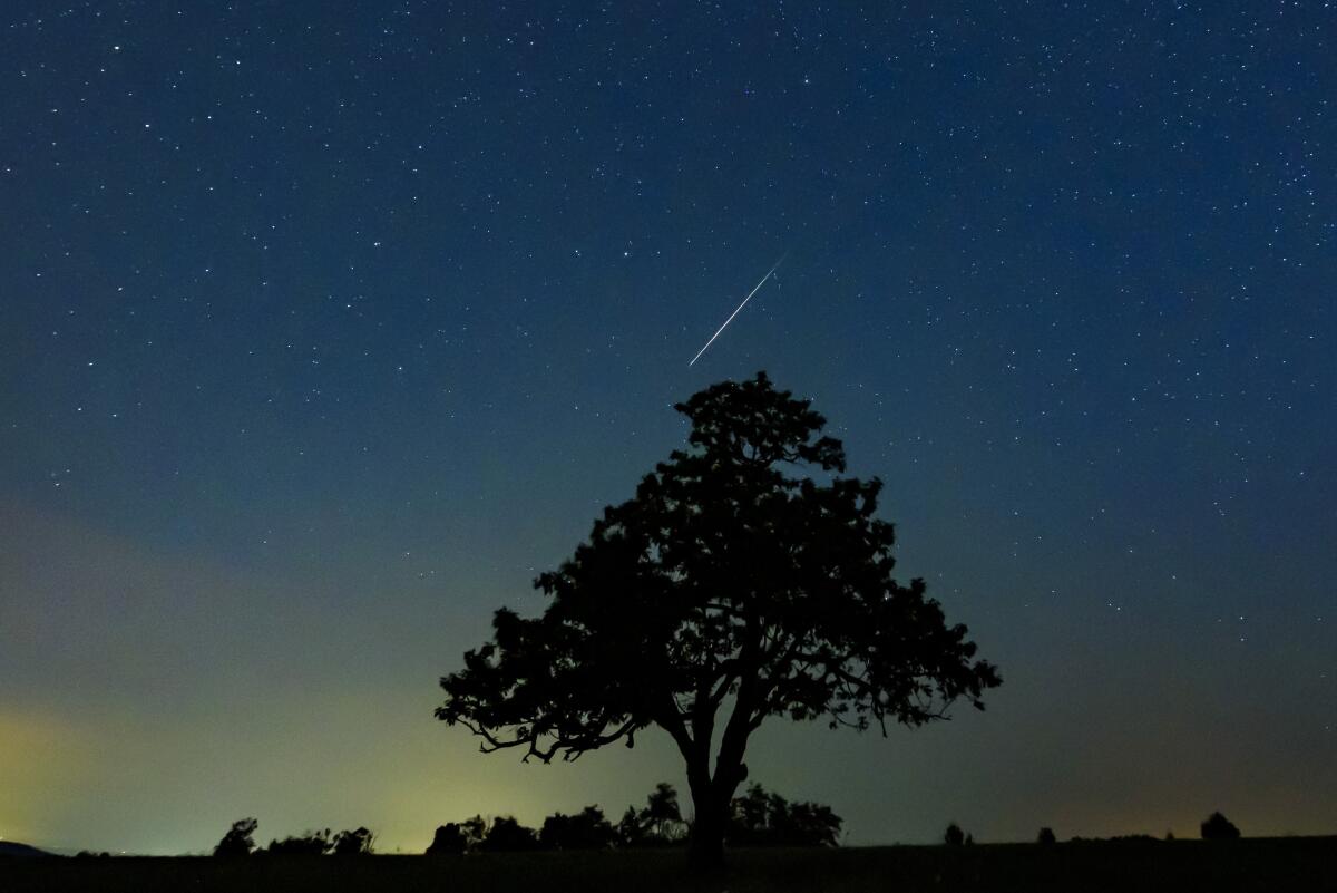 A meteorite illuminates the sky above Salgotarjan, Hungary, during the Perseid meteor shower in 2019. 