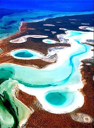 Shark Bay, on the western tip of Australia, showcases natural beauty, diverse sea life and wide-ranging geography. It has the largest seagrass bed in the world, dozens of endemic animal species, five endangered mammal species and more than a third of Australias bird species.