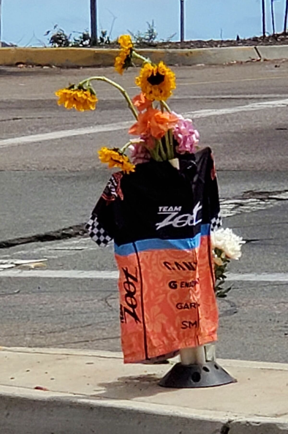 Flowers and a cycling jersey mark where 34-year-old bicyclist Swati Tyagi died after being struck by a car in La Jolla.