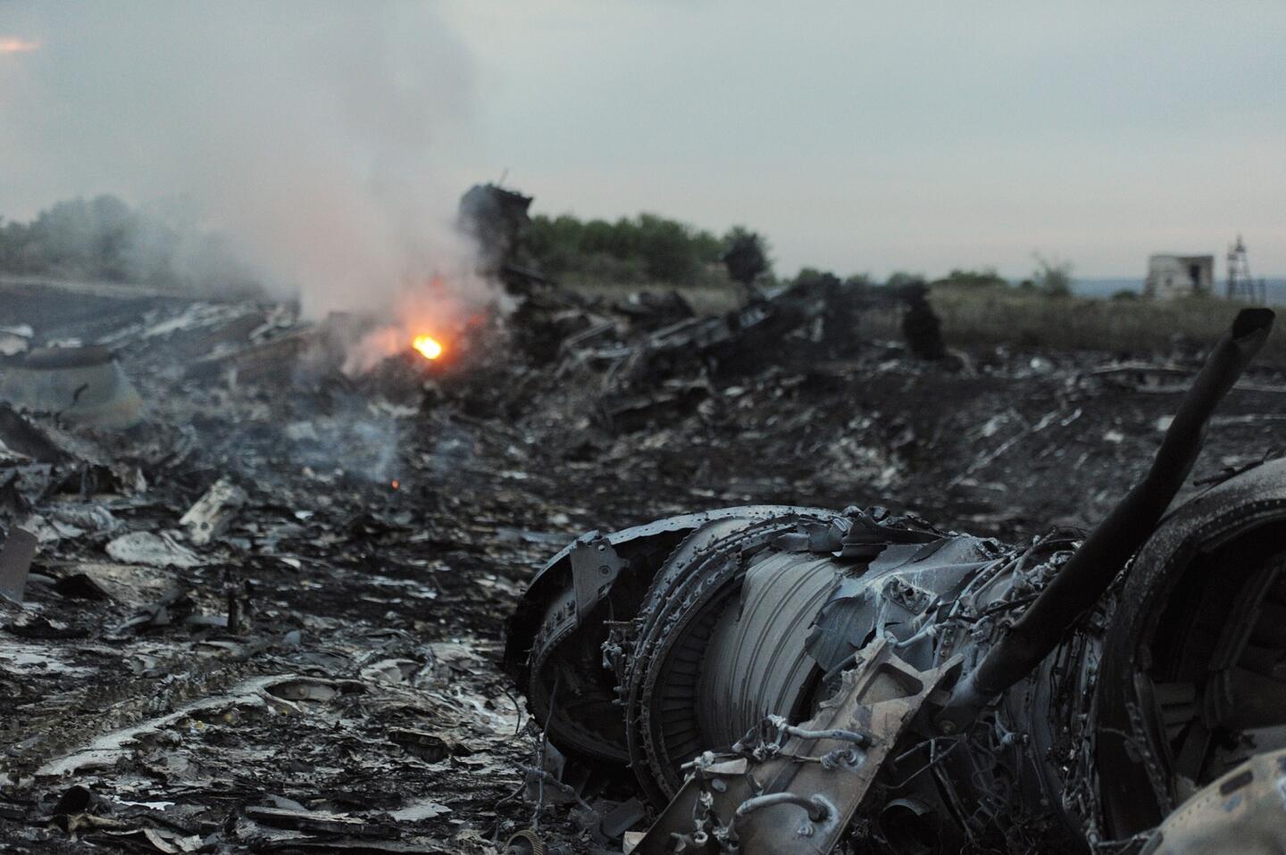 Malaysia Airlines jet crashes in Ukraine