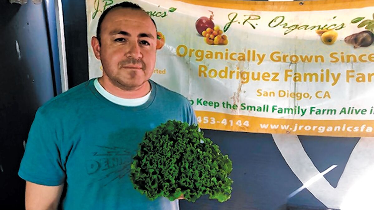 Danny Rodriguez offers organic produce at La Jolla Open Aire Market, which is held Sundays, 9 a.m.-1 p.m. at 7335 Girard Ave. in La Jolla, at the corner of Girard Avenue and Genter Street. lajollamarket.com