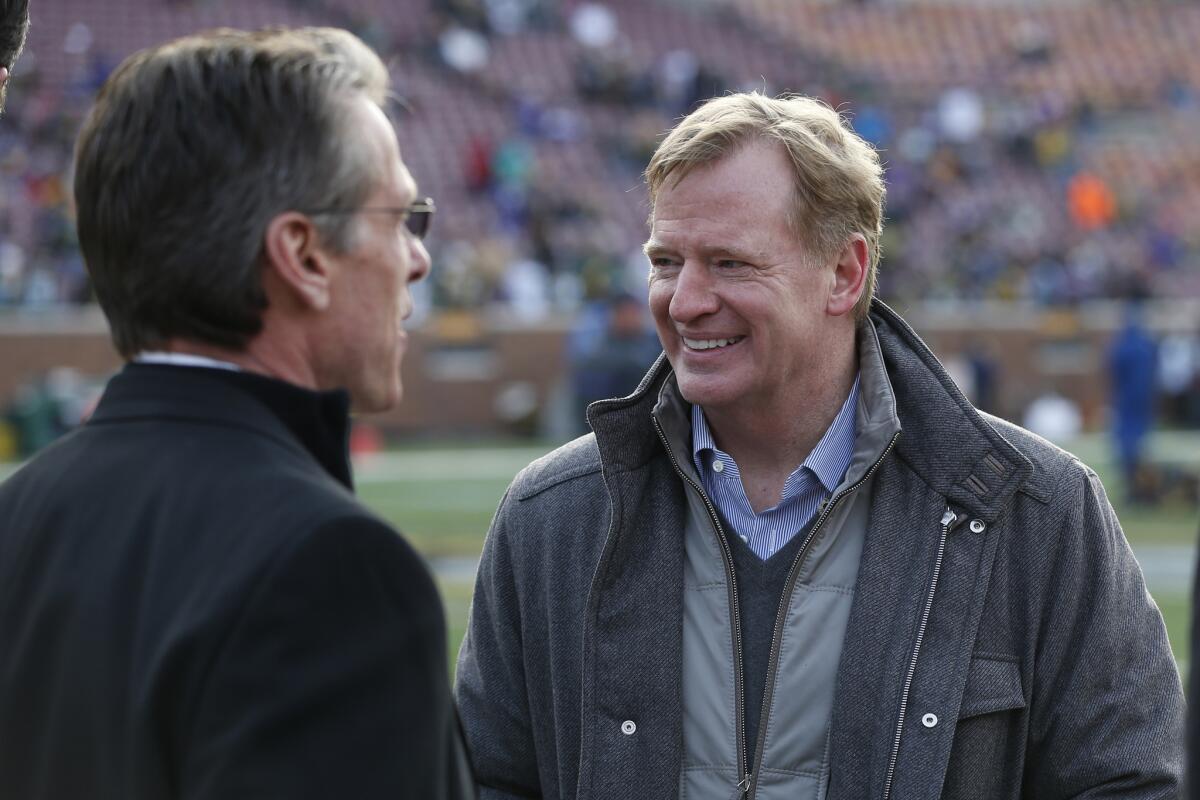 NFL Commissioner Roger Goodell before a game between the Vikings and the Packers in Minneapolis on Nov. 22.