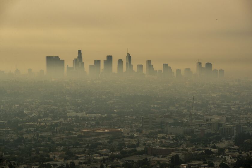LOS ANGELES, CA - SEPTEMBER 17: Smoke from Southern California wildfires drifts through the L.A. Basin, obscuring downtown skyscrapers in a view from a closed Griffith Observatory on Thursday, Sept. 17, 2020 in Los Angeles, CA. (Brian van der Brug / Los Angeles Times)