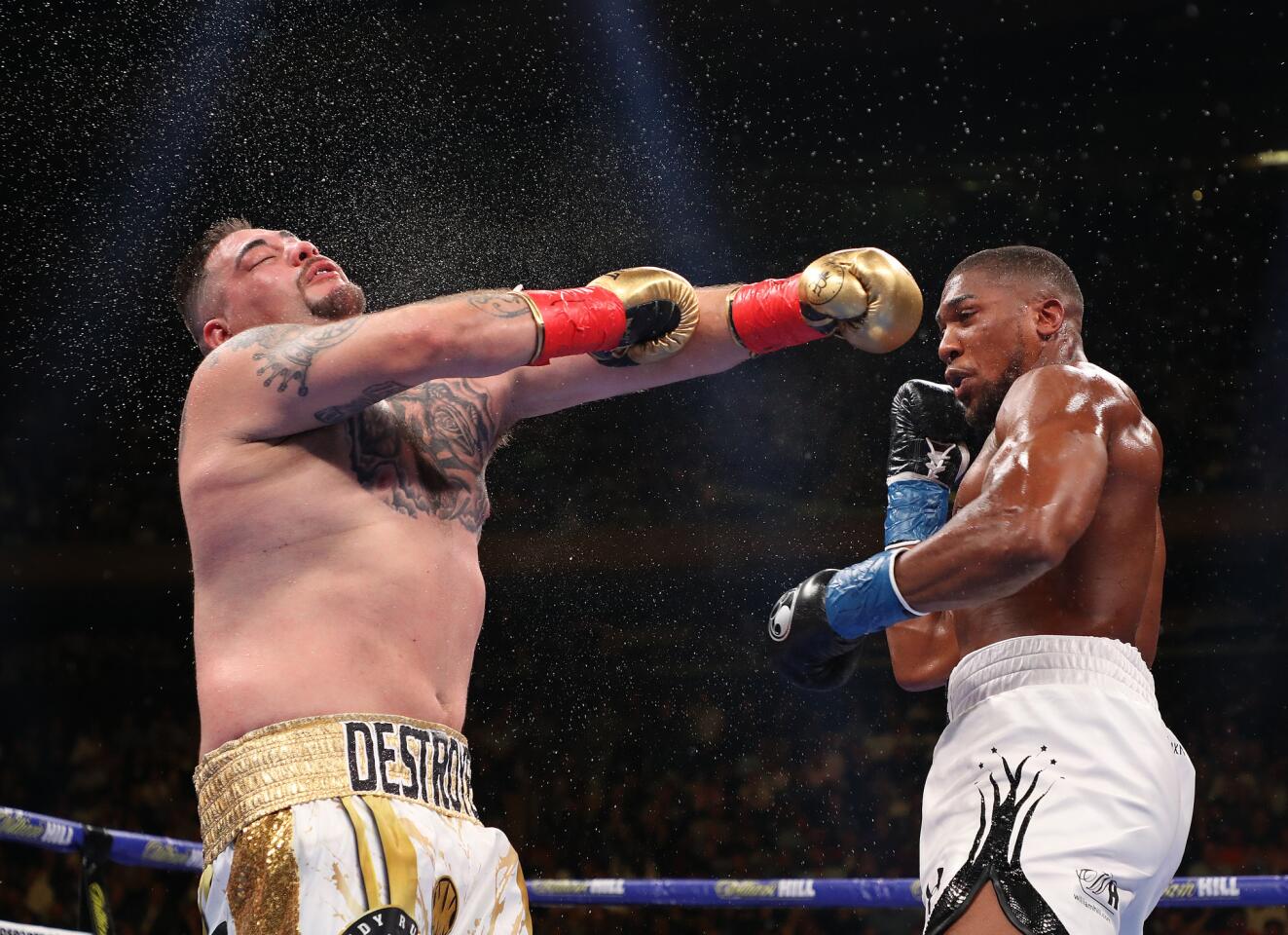 Anthony Joshua v Andy Ruiz Jr.