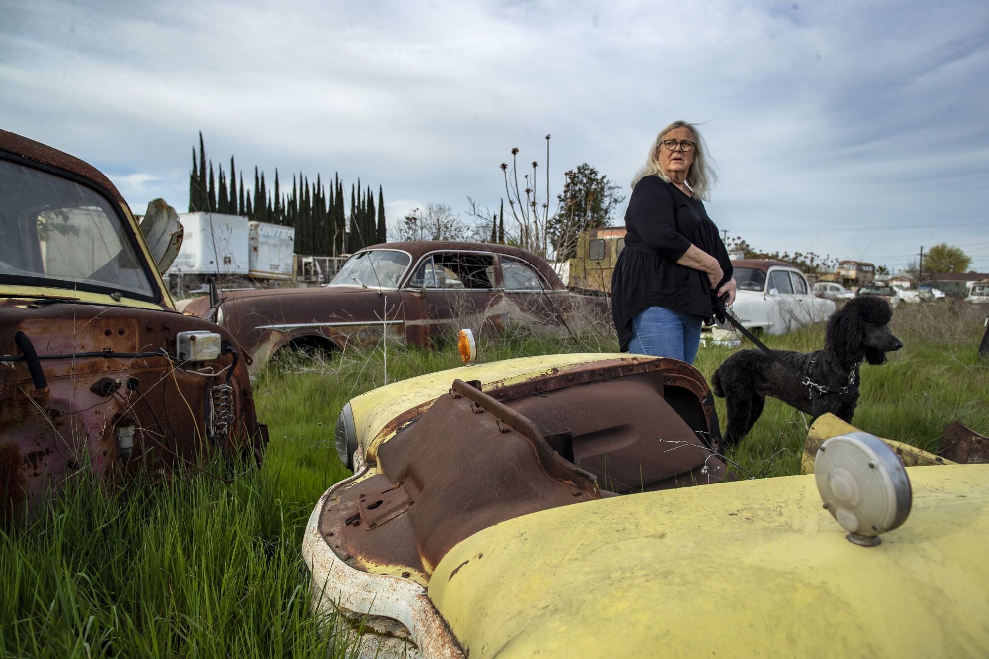 Georgia DeFilippo with her dog stands in a lot strewn with old cars, junk and antiques.