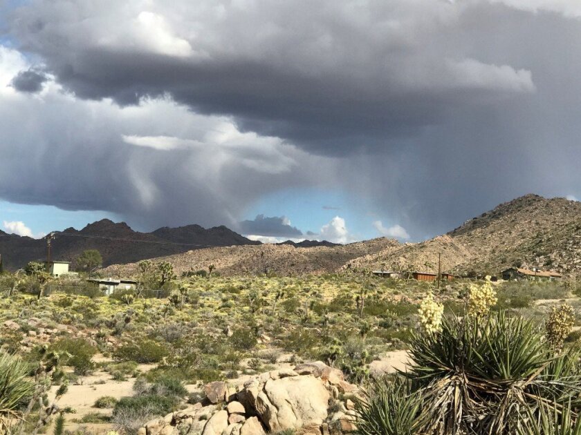 Desert land with dark clouds above