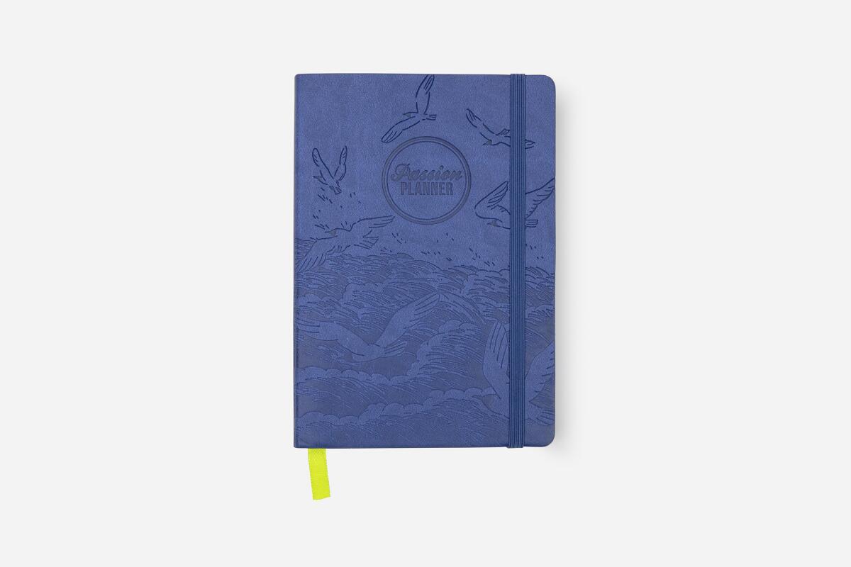 Passion Planner's Weekly 2021 Annual in the Pacific Blue color