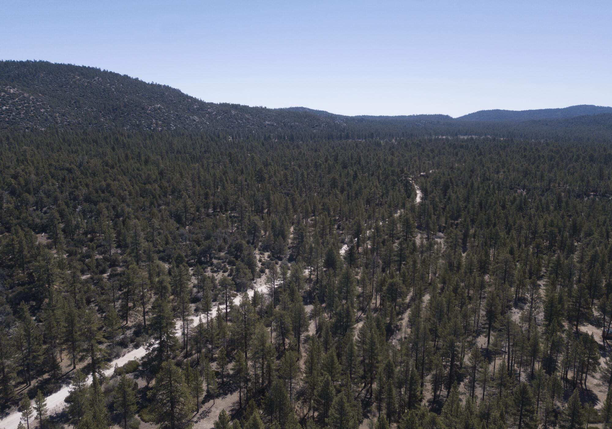 Holcomb Valley on the north side of Big Bear Lake