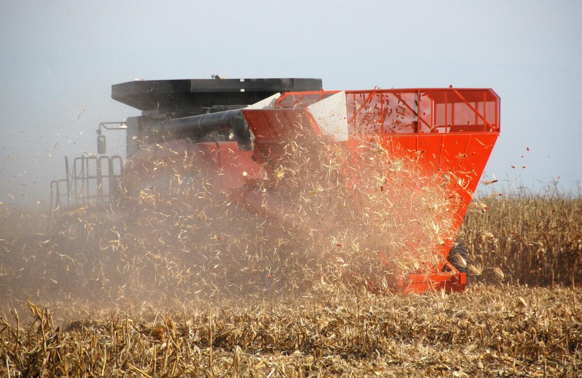 A combine hitched with a Cob Caddy gathers corn and cobs while blowing stover back into the field on a farm in South Dakota. A new report found that biofuels derived from corn stover may actually release more carbon emissions over the short run compared with gasoline.