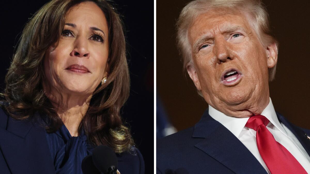 Trump attack exaggerates Kamala Harris' power as vice president - Los Angeles Times