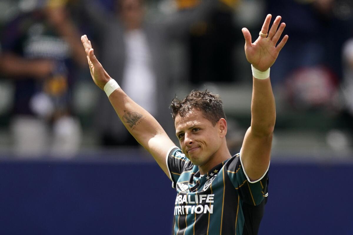 LA Galaxy forward Javier Hernandez celebrates after scoring 