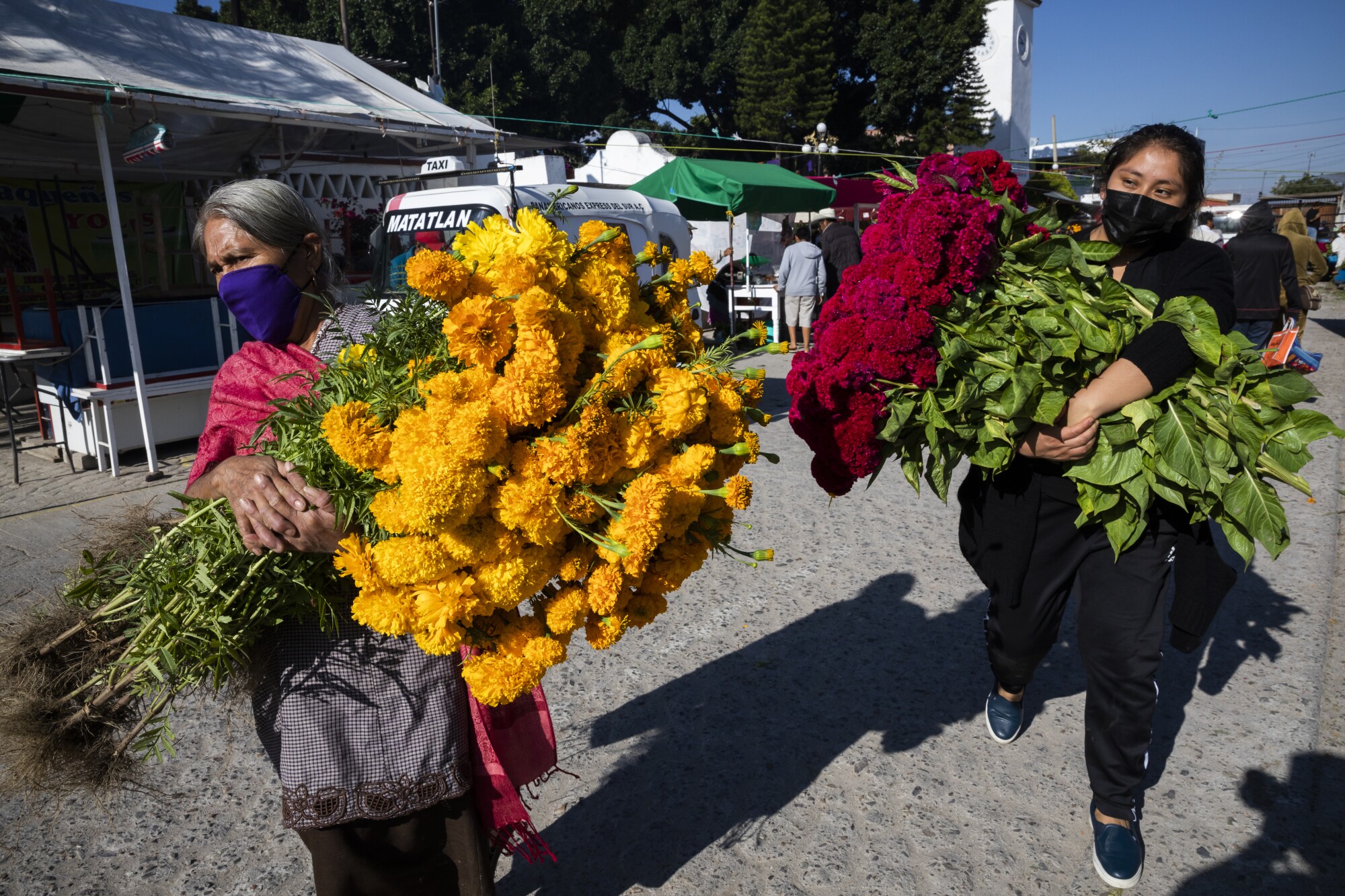  Two women carry large bundles of flowers 