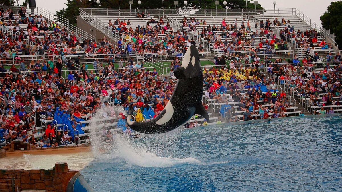 SeaWorld is still struggling financially, its most recent earnings report revealed.