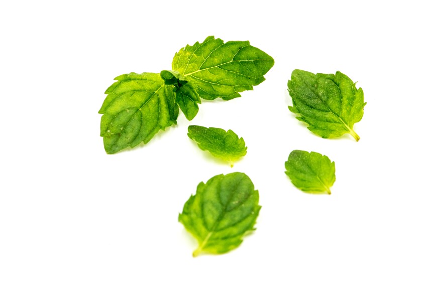 Mint leaves