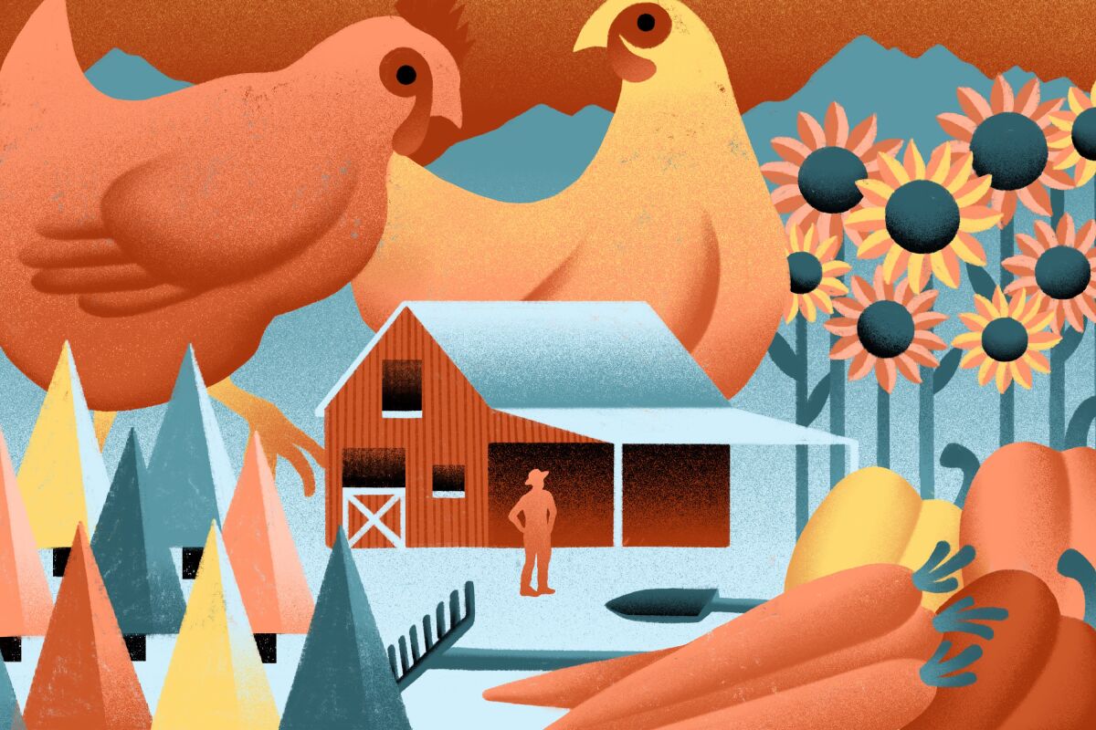 Illustration of a farmer with giant chickens, sunflowers and vegetables around him.