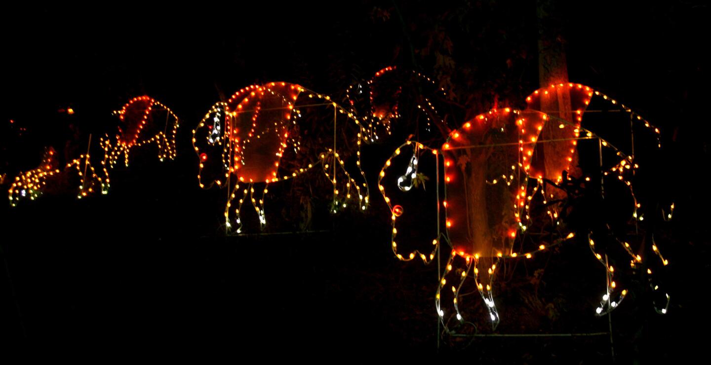 Photo Gallery: L.A. Zoo Lights