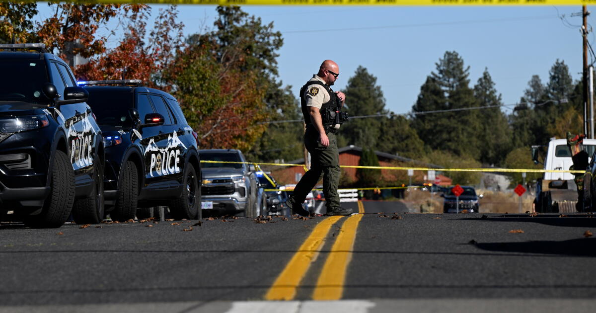 Letters to the Editor: Counting on a ‘good guy with a gun’ to stop tragedy ...