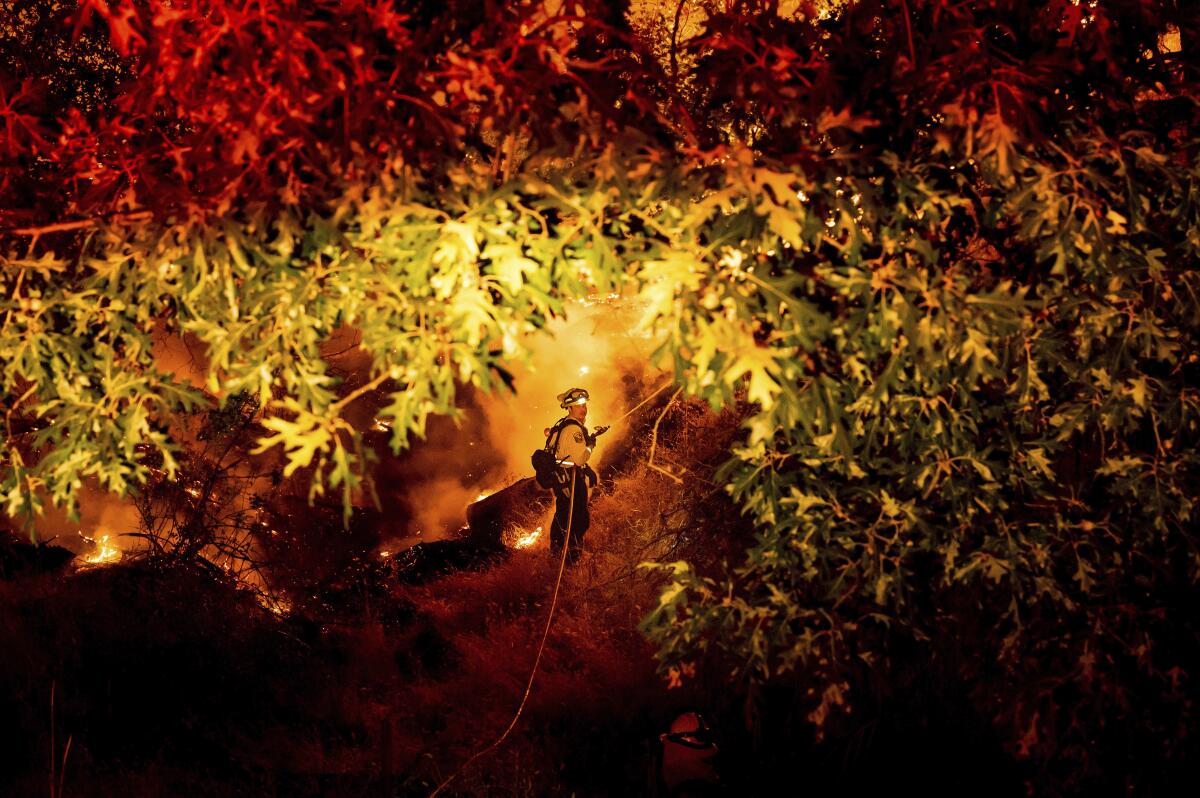 A firefighter sprays water on a wildfire.