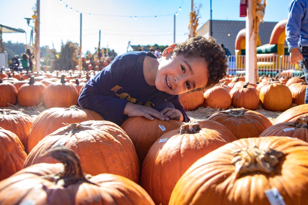 James Tessema (4) at the Pumpkin Station in Mission Valley on Tuesday, Oct. 19, 2021.