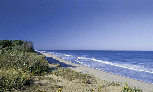 Cape Cod National Seashore