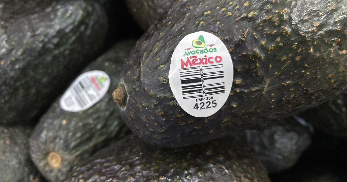 U.S. says avocado inspections may resume in troubled Mexican state, opening way for imports U.S. says avocado inspections may resume in troubled Mexican state, opening way for imports