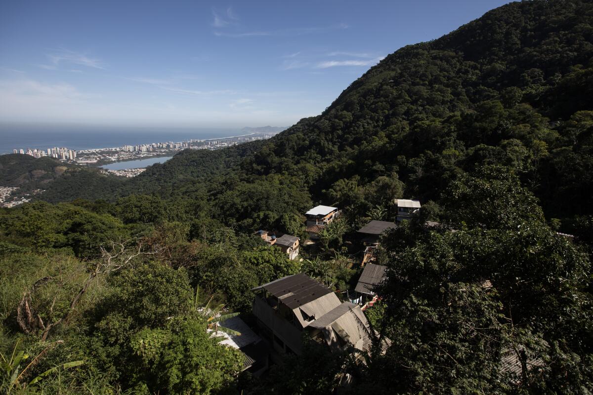 Houses on the edge of a forest outside Rio.