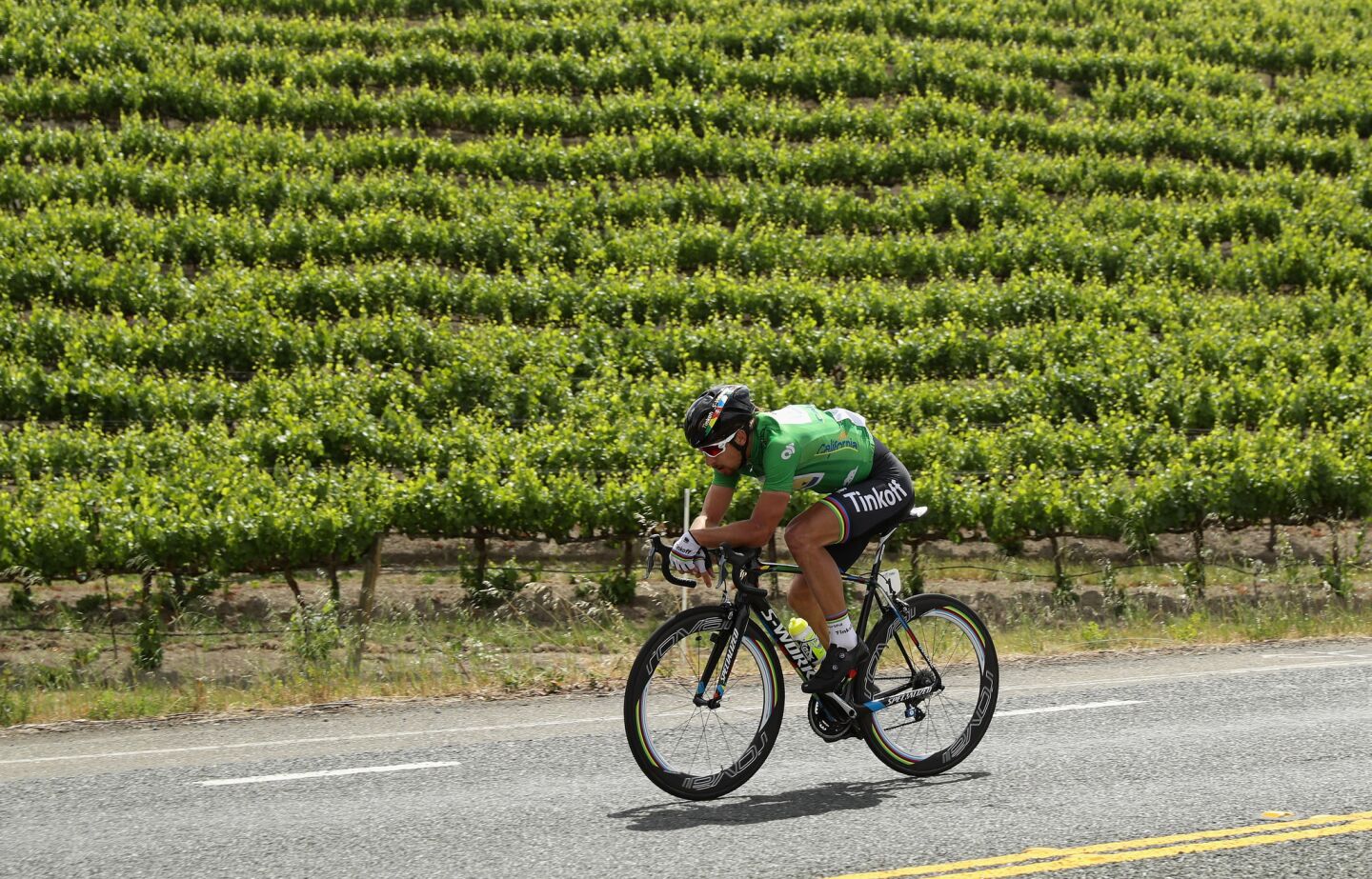 Peter Sagan of Slovokia rides past a vineyard near Santa Rosa during the seventh stage of the Amgen Tour of California on May 21.