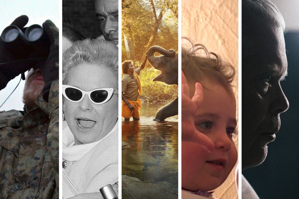Stills from the five nominees for the 2023 Oscar for documentary short.