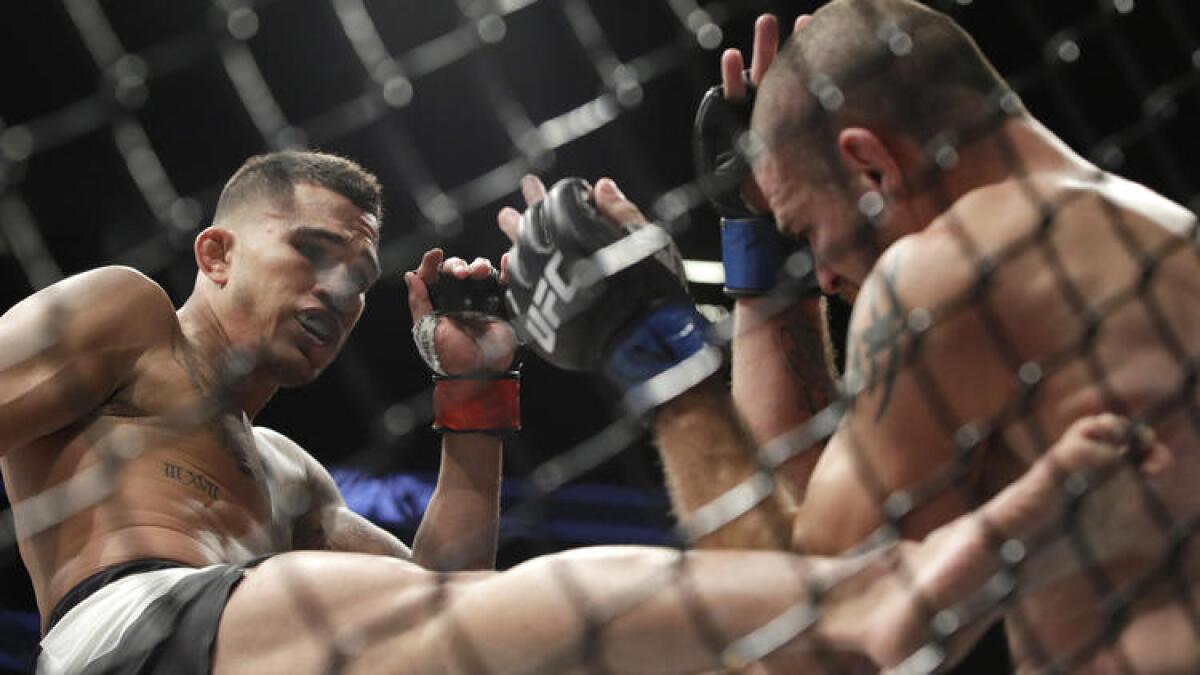 Anthony Pettis kicks Jim Miller during their lightweight fight at UFC 213.