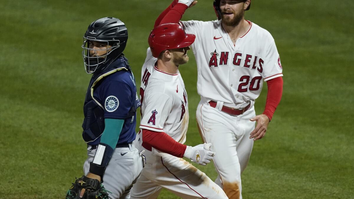 Angels News: Taylor Ward Firmly In Competition To Be Starting Outfielder -  Angels Nation