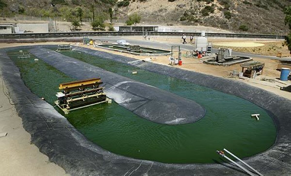 General Atomics of San Diego produces a large quantity of algae in a pool of circulating water. The goal for scientists is to separate the oil from the algae and create a clean biofuel.