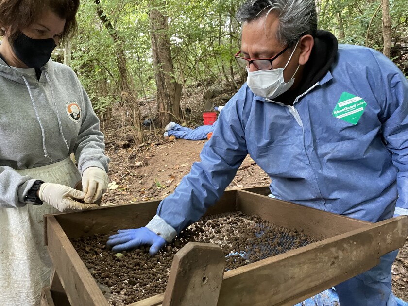 Researcher and student at the Body Farm
