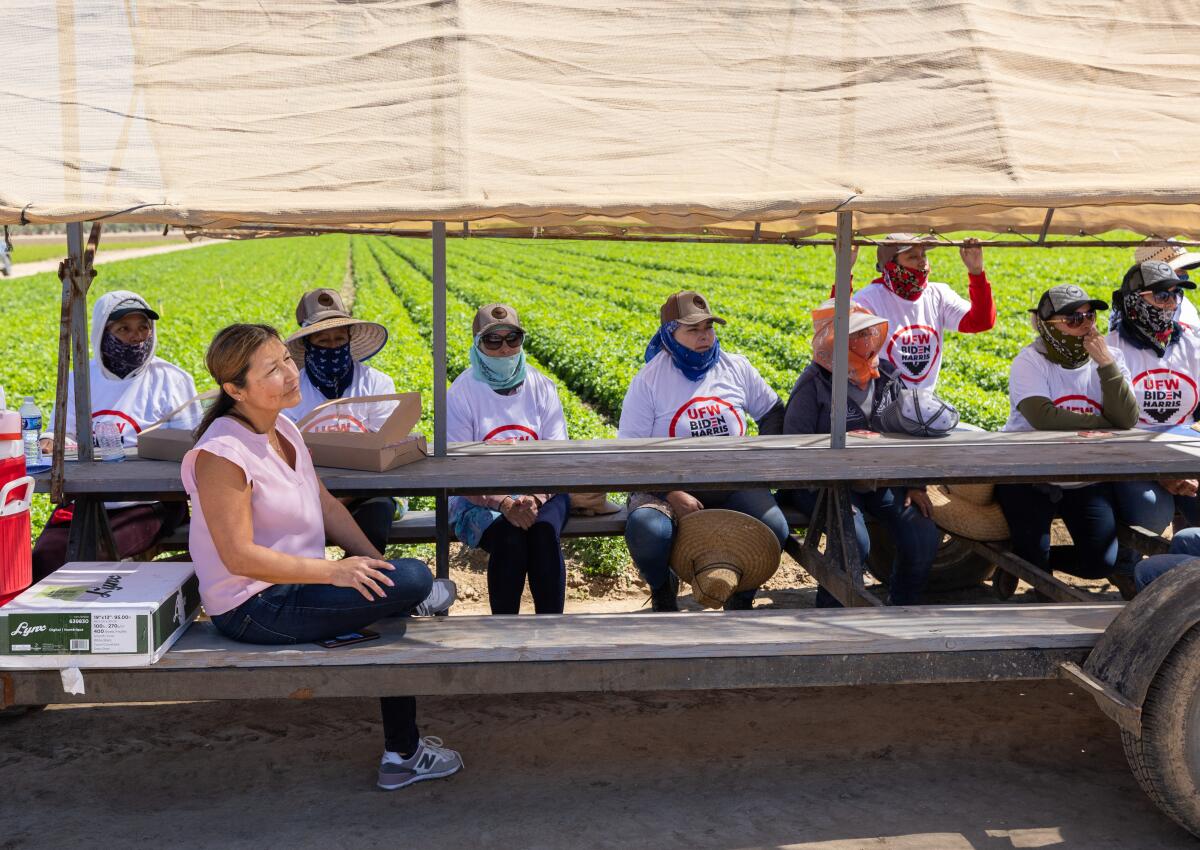 A woman sits at an outdoor table across from other people next to farmland