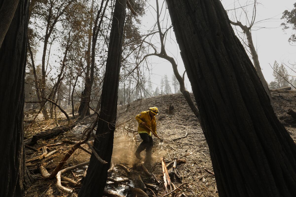 A firefighter puts out hot spots in Berry Creek.