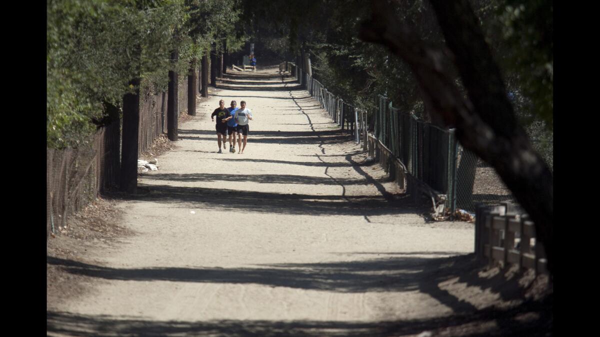 Carols Pico, from left, Ismael Favela and Ricardo Menjivar run on the pathway at Griffith Park. A left turn at the T intersection will lead to thicker woods.