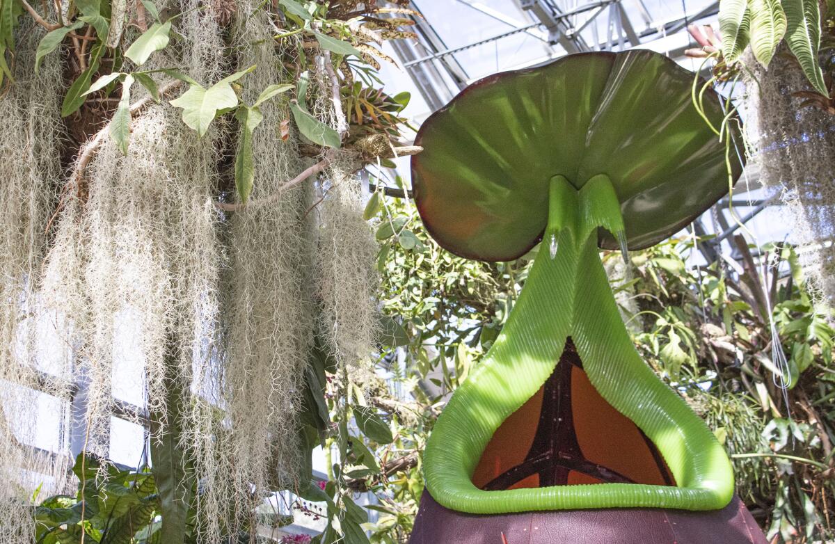 A view of the "Savage Gardens" exhibit.